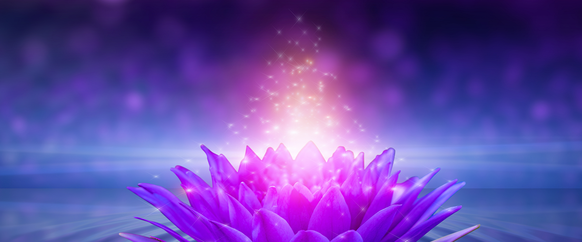 bilboard-bonus-lotus